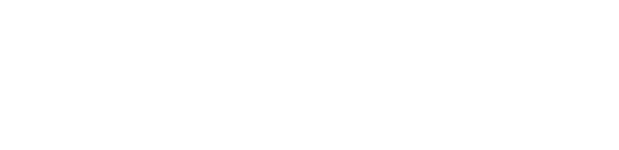 onework_Logo_weiss