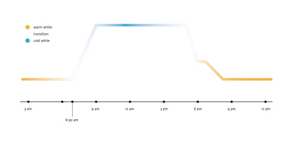 HCL_Timeline_EN