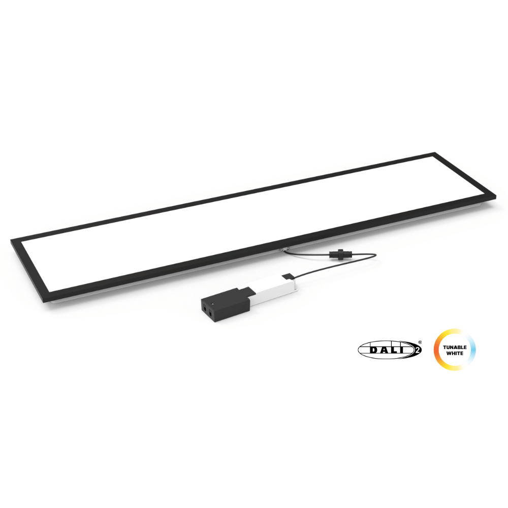 TW DALI 1200 (1)