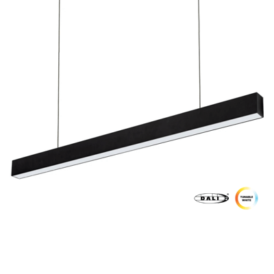 TW DALI LL 1200 (4)