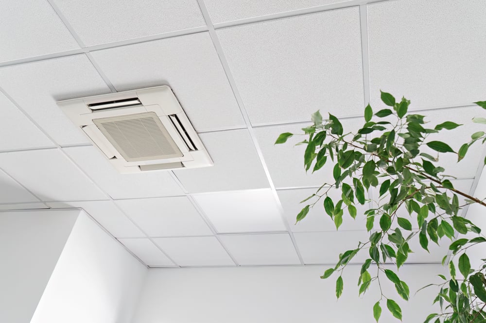 low-angle-assette-air-conditioner-ceiling-modern-light-office-apartment-with-green-ficus-plant-leaves-indoor-air-quality